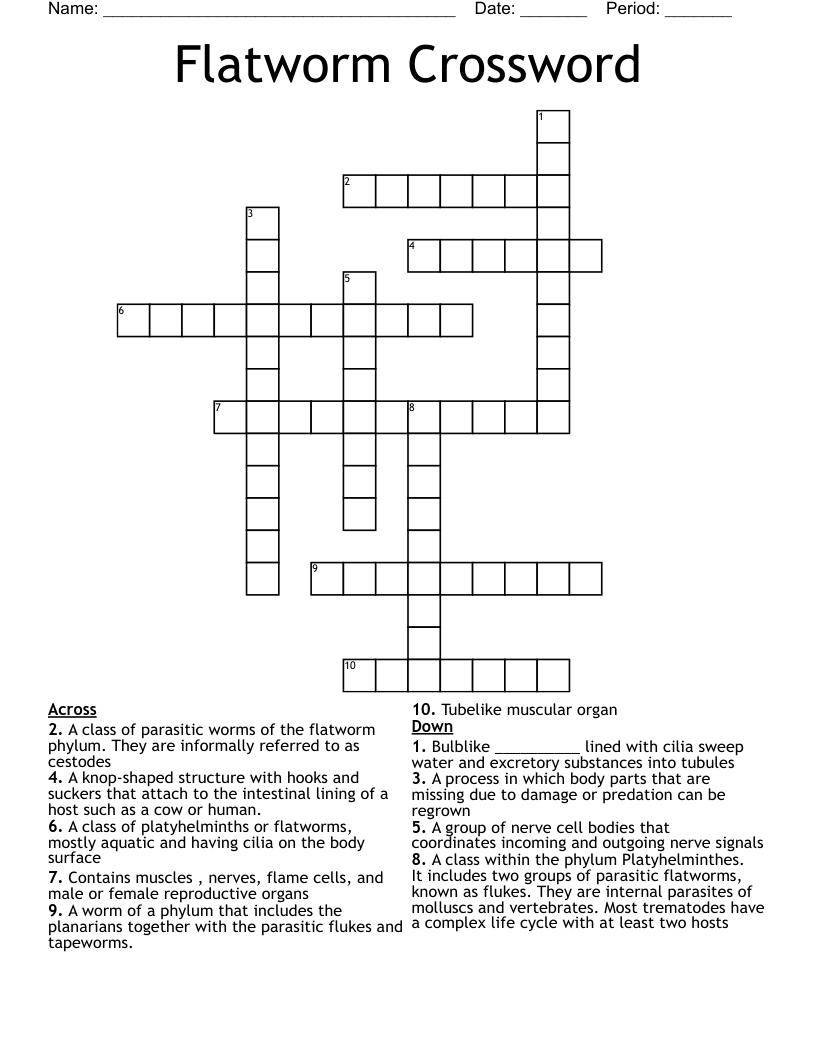 Flatworm Crossword