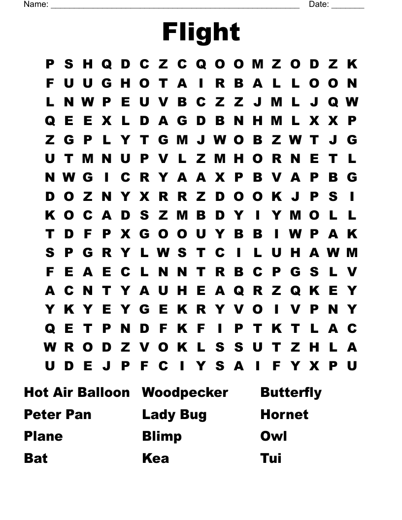 Flight Word Search