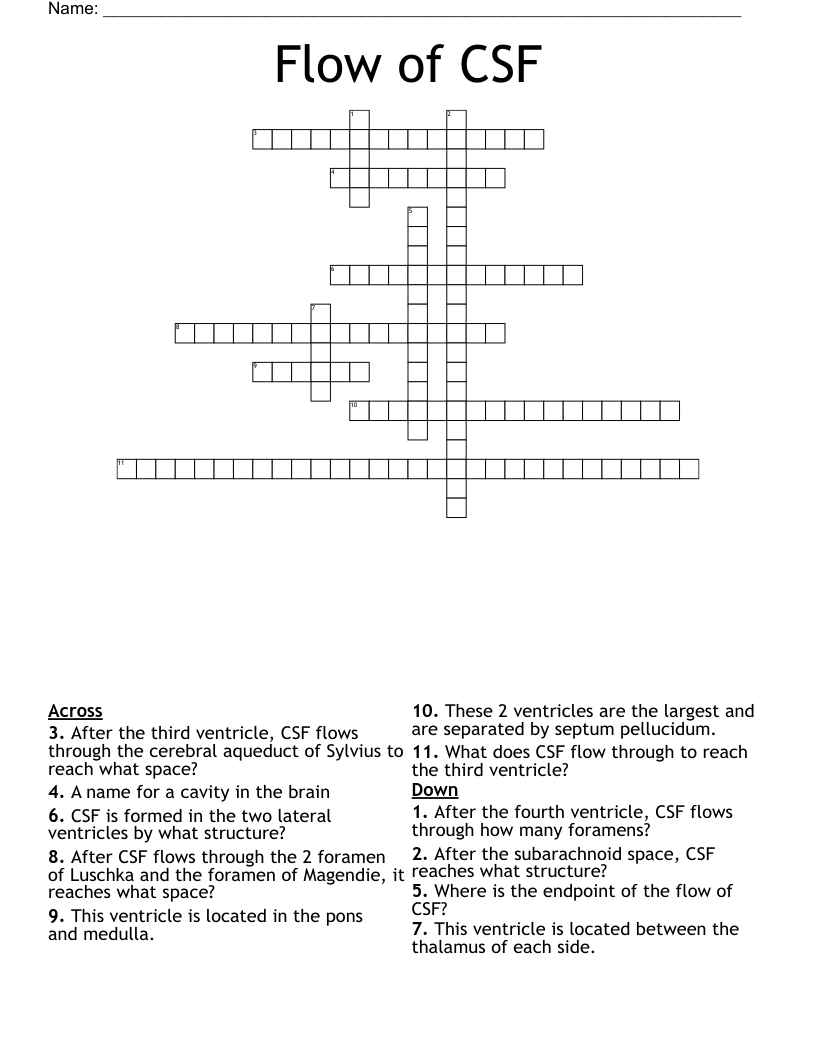 Flow of CSF Crossword