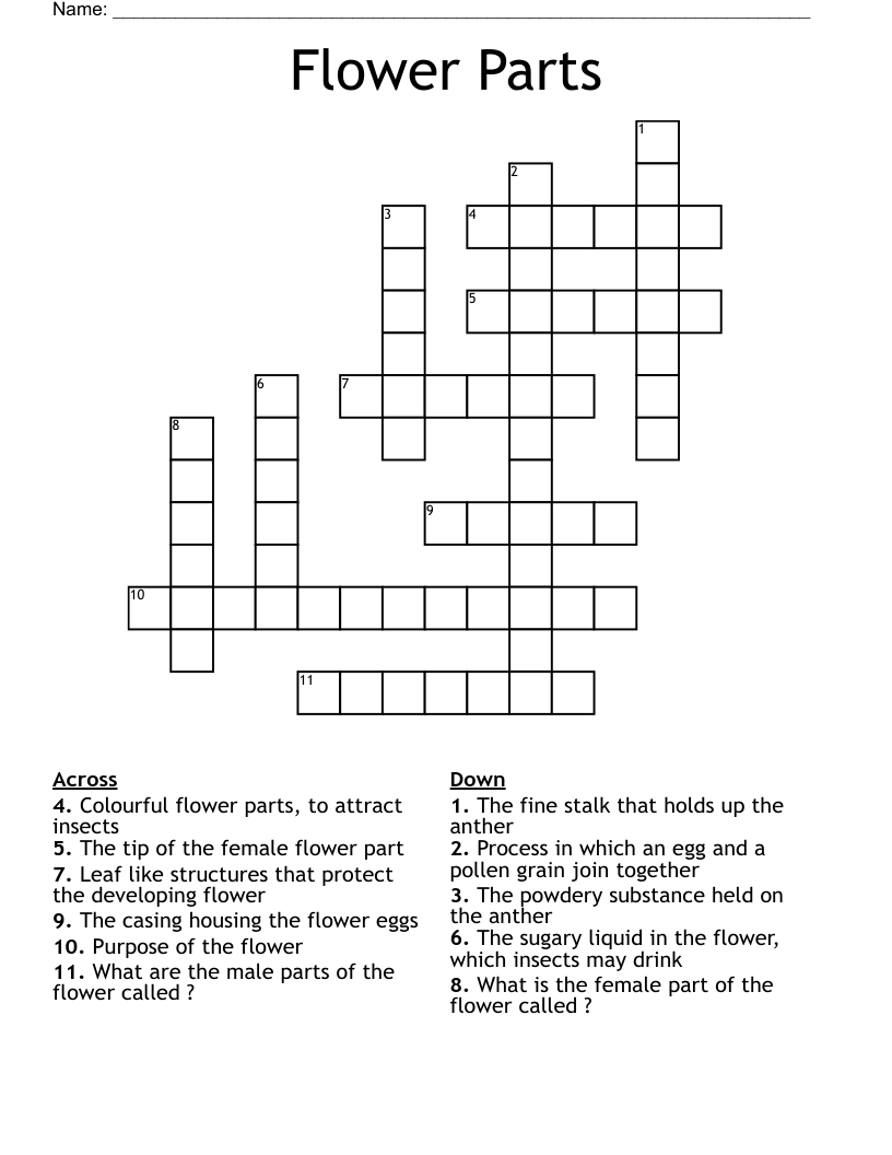 Flower Parts Crossword