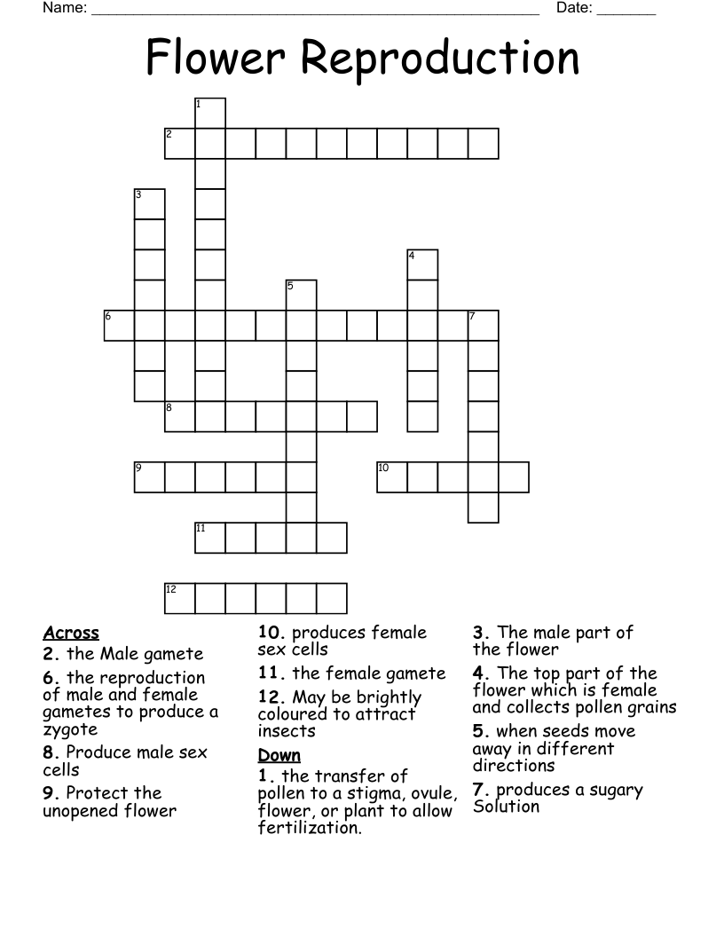 Flower Reproduction Crossword