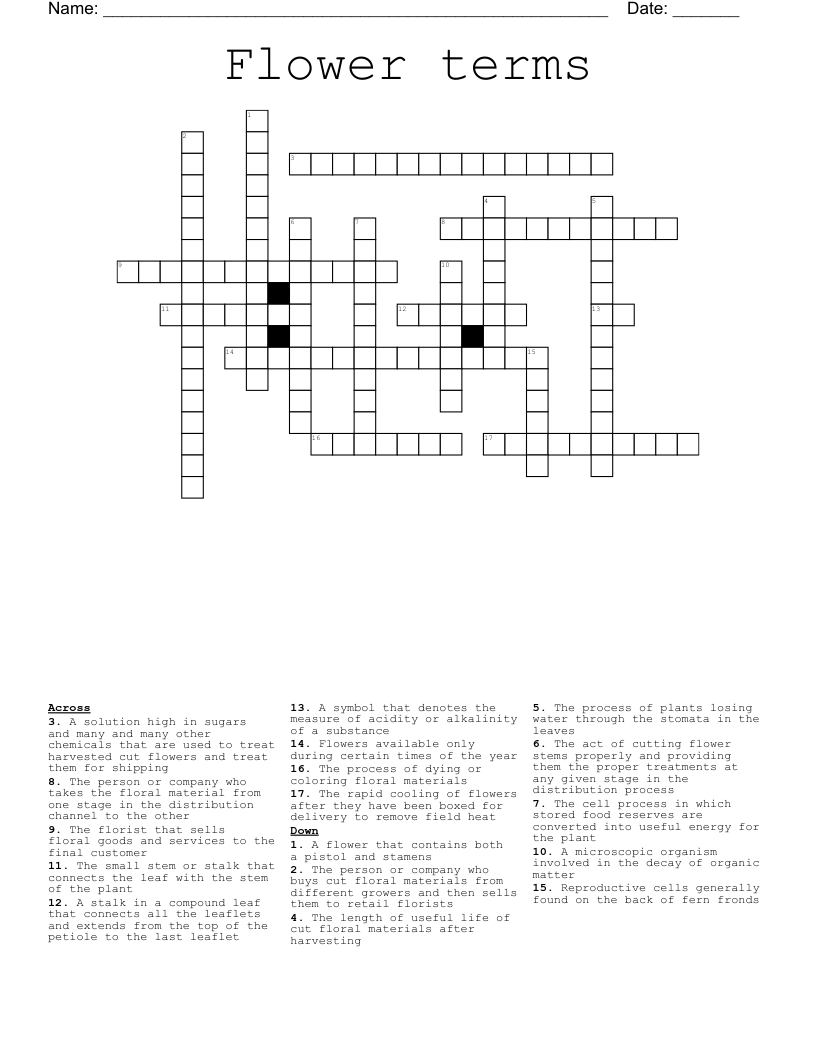Flower terms  Crossword