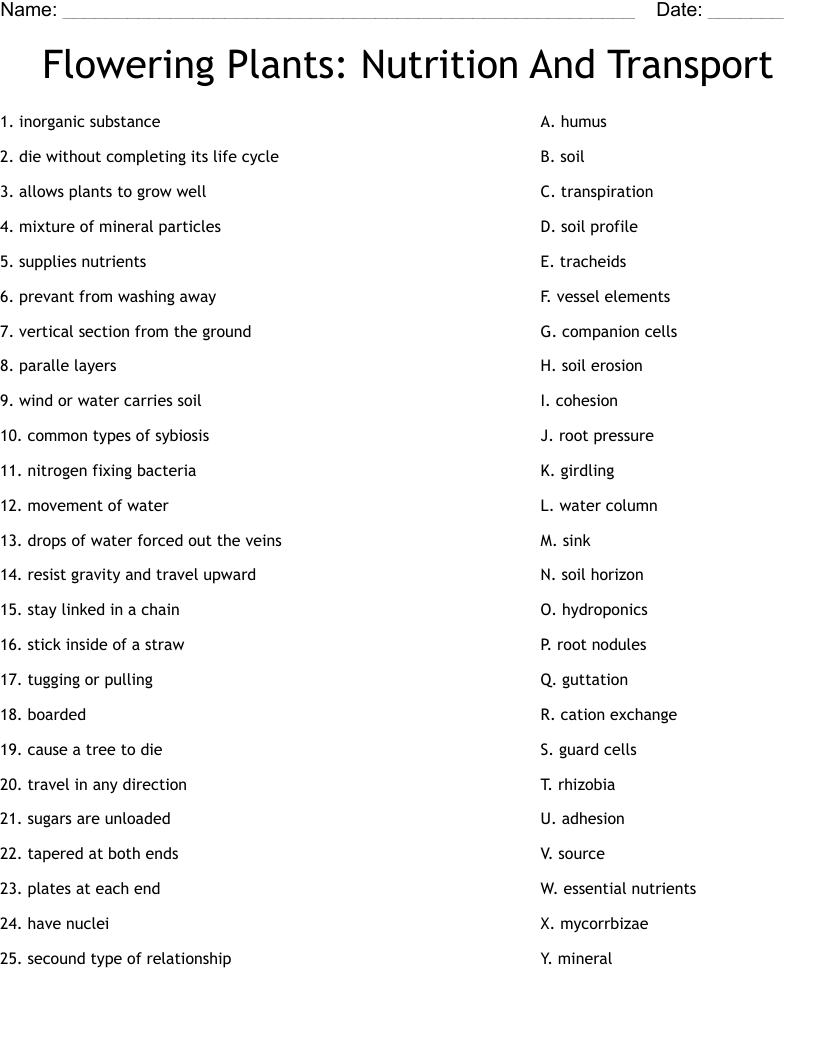 Flowering Plants: Nutrition And Transport Worksheet