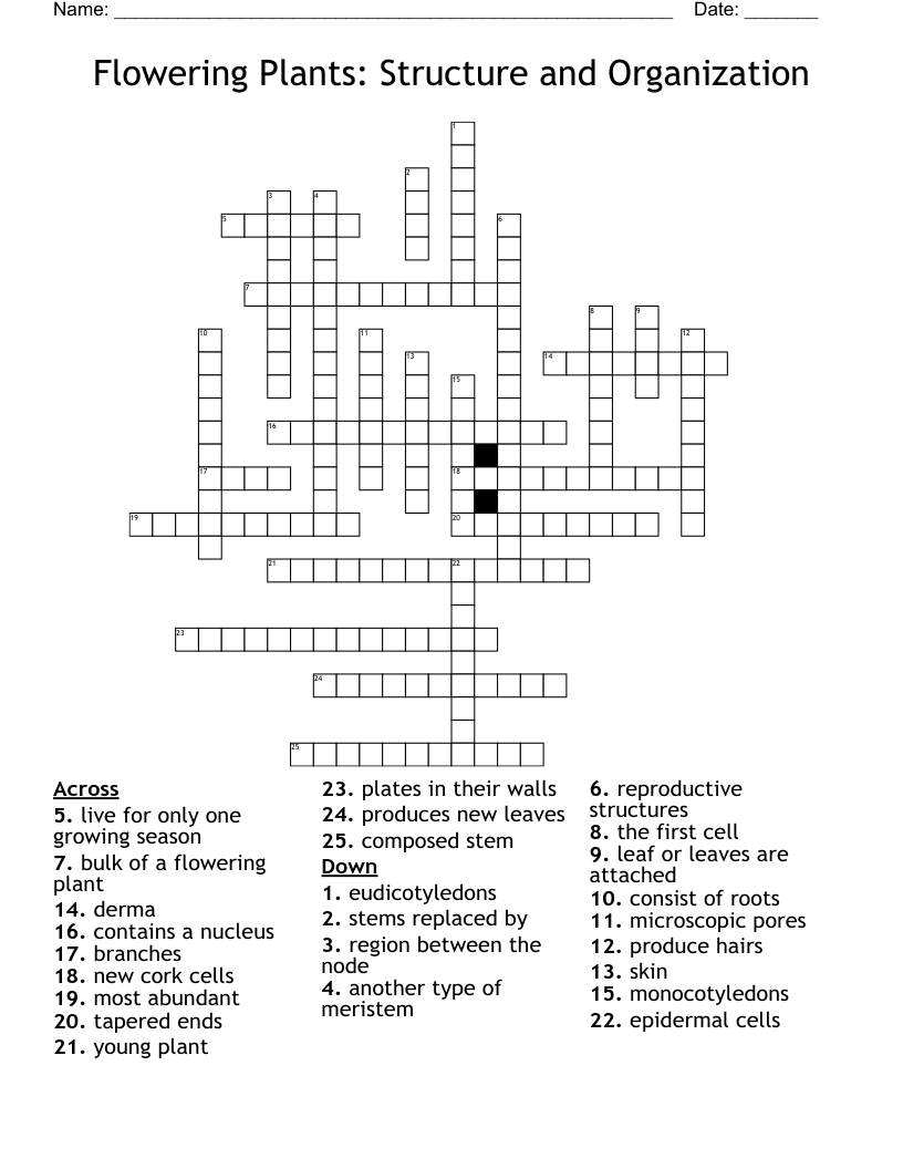 Flowering Plants: Structure and Organization Crossword