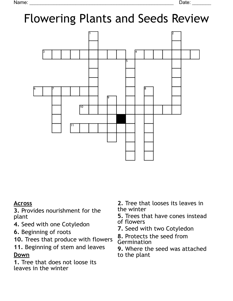 Flowering Plants and Seeds Review Crossword