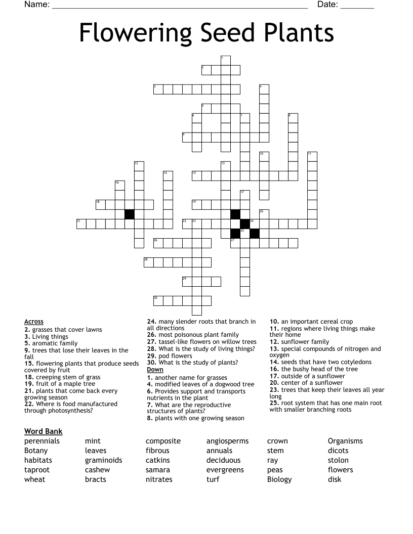 Flowering Seed Plants Crossword