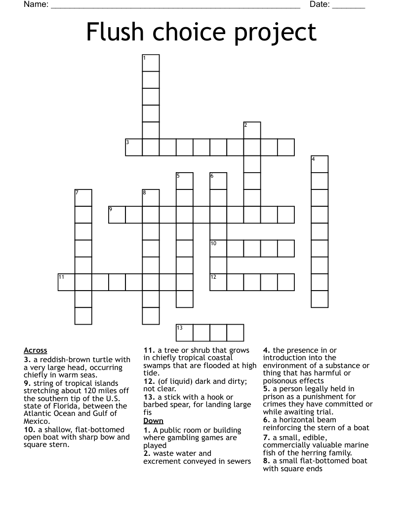 Flush choice project  Crossword