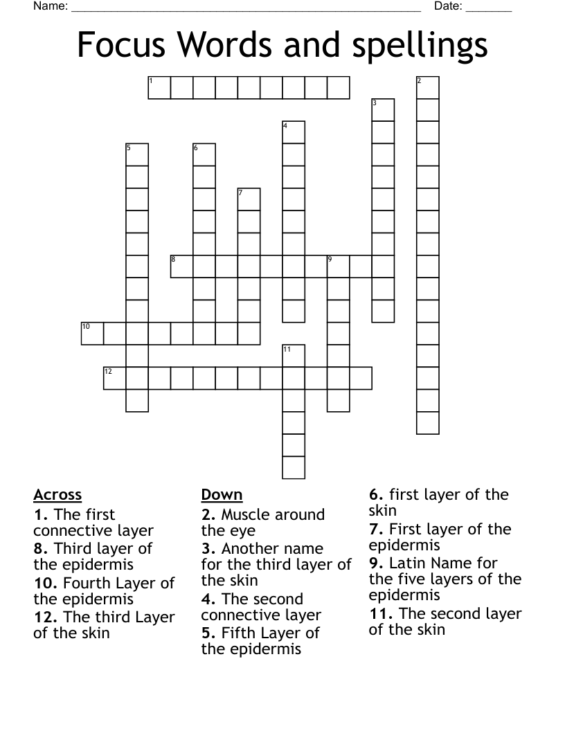 Focus Words and spellings  Crossword