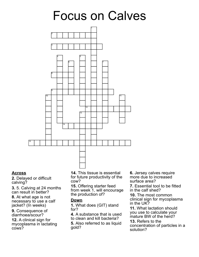Focus on Calves Crossword