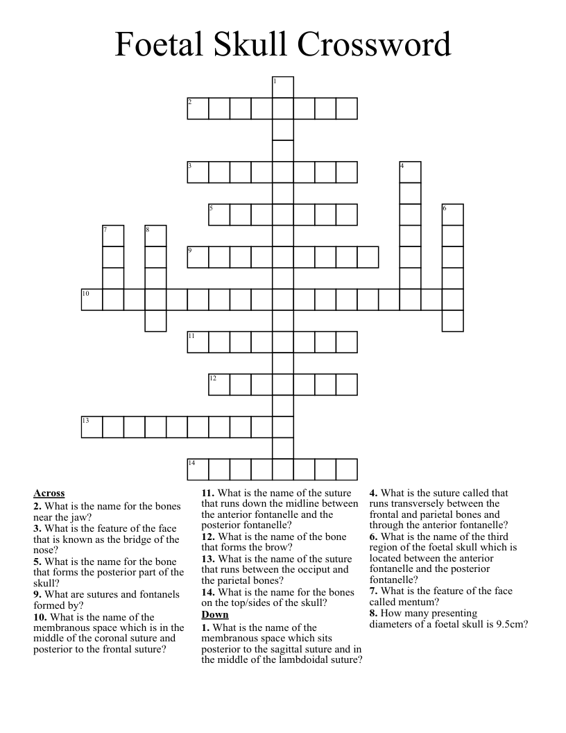 Foetal Skull Crossword