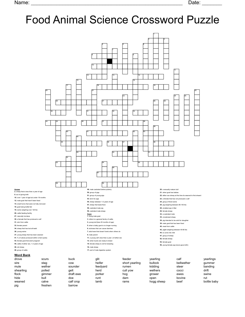 Food Animal Science Crossword Puzzle