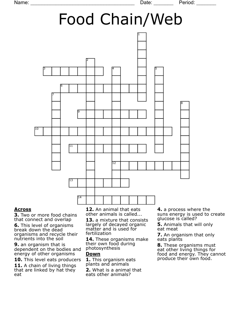 Food Chain/Web Crossword