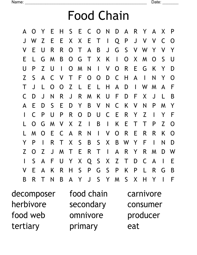 Food Chain Word Search