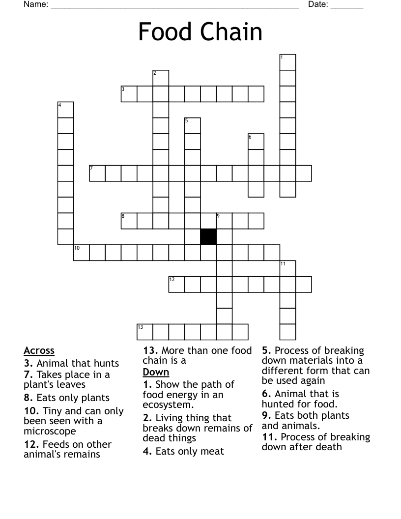 Food Chain Crossword