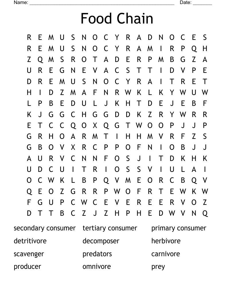 Food Chain Word Search