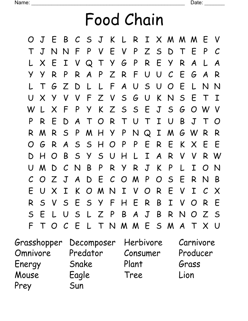 Food Chain Word Search