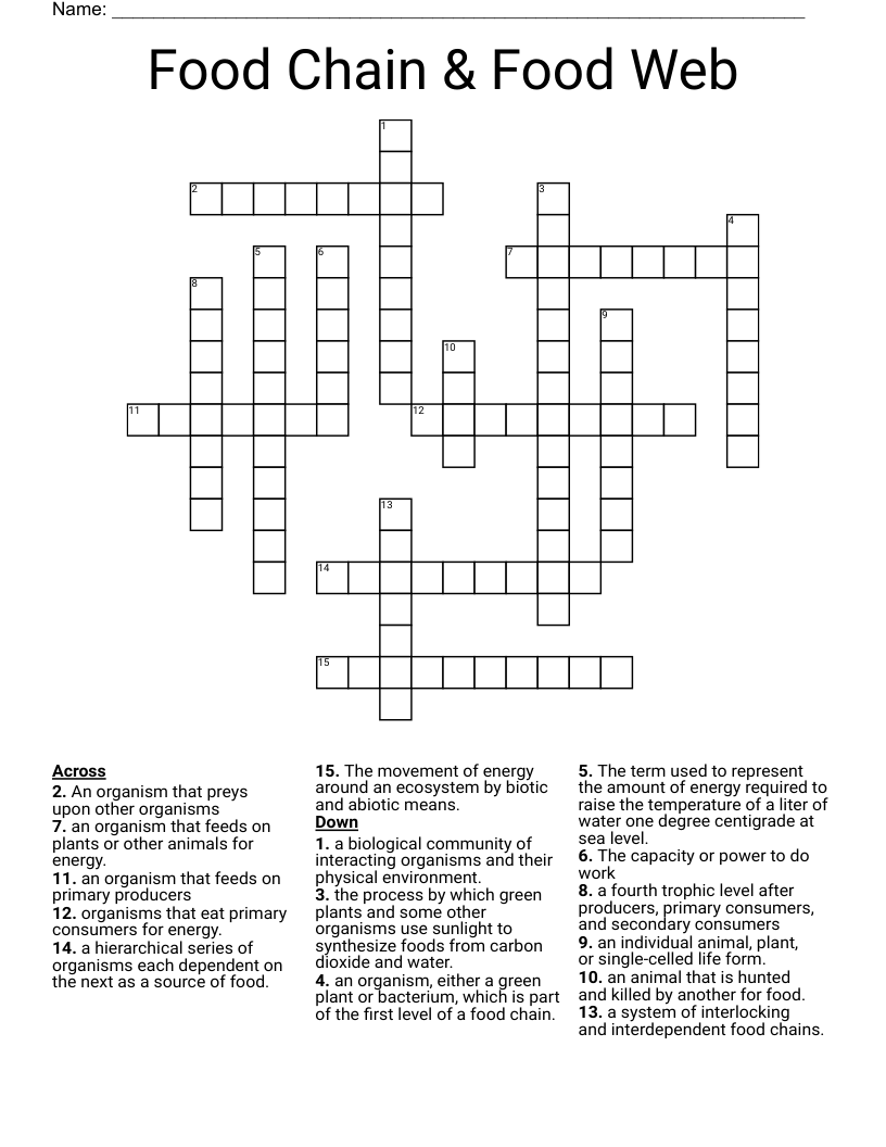 Food Chain & Food Web Crossword