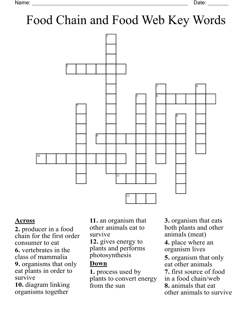 Food Chain and Food Web Key Words Crossword