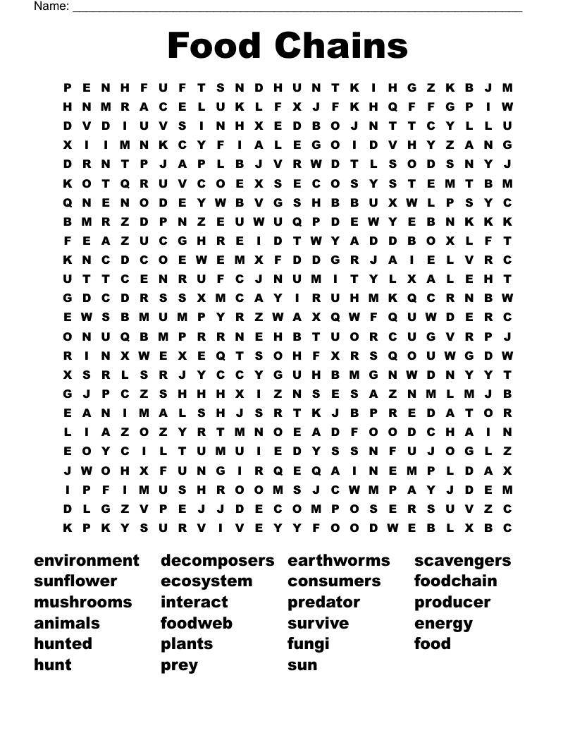 Food Chains Word Search