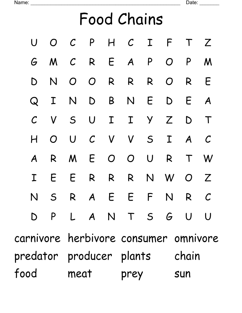 Food Chains Word Search