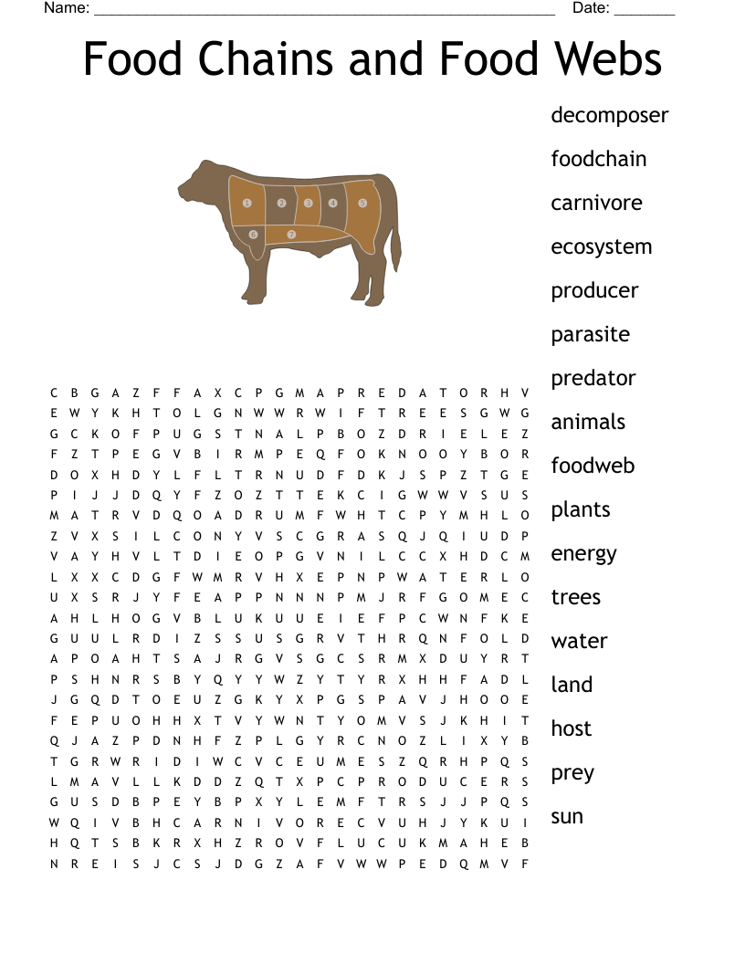 Food Chains and Food Webs Word Search