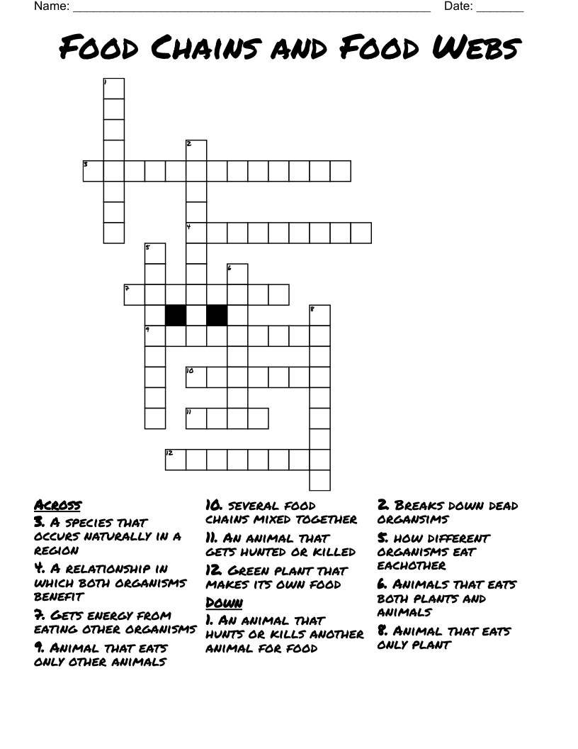 Food Chains and Food Webs Crossword