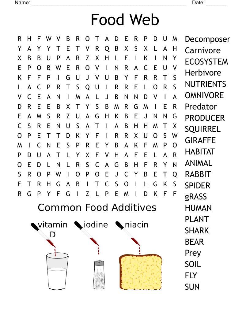 Food Web Word Search
