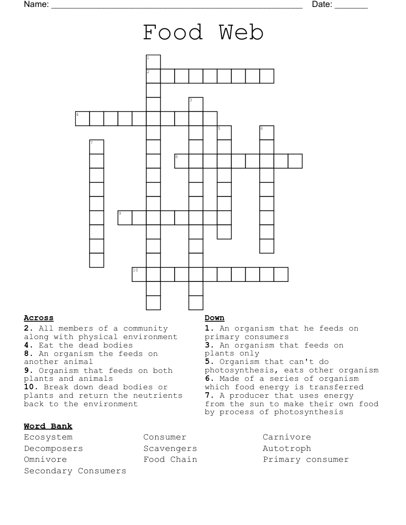 Food Web Crossword