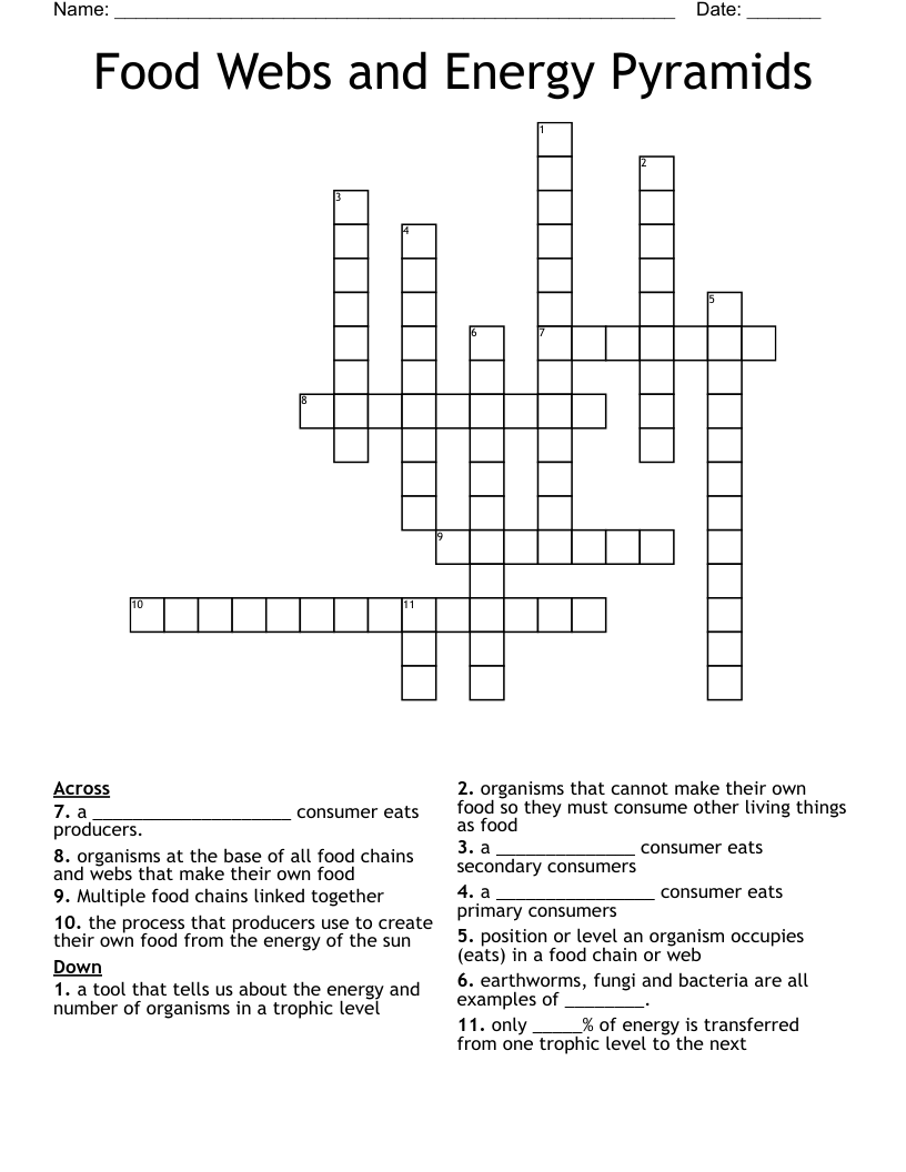 Food Webs and Energy Pyramids Crossword