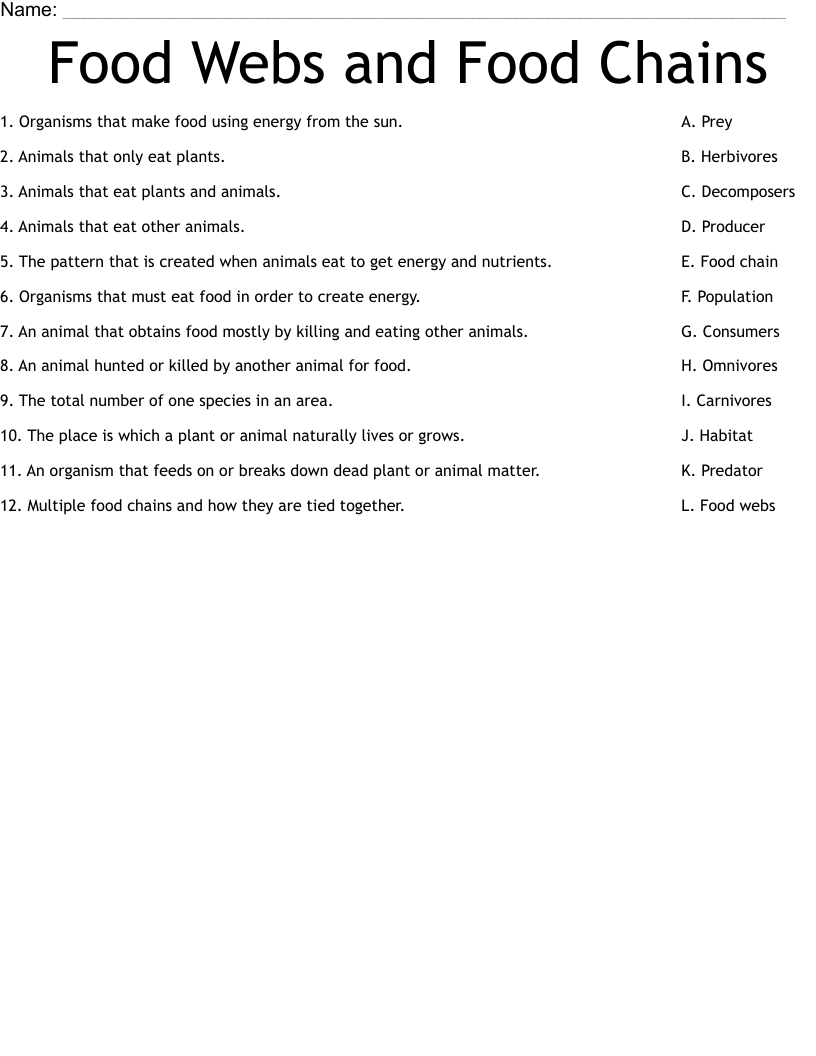 Food Webs and Food Chains Worksheet