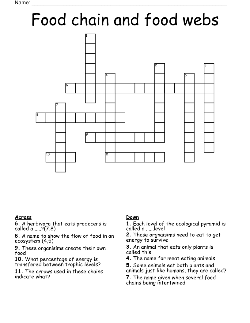 Food chain and food webs Crossword
