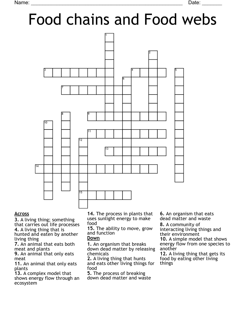 Food chains and Food webs Crossword