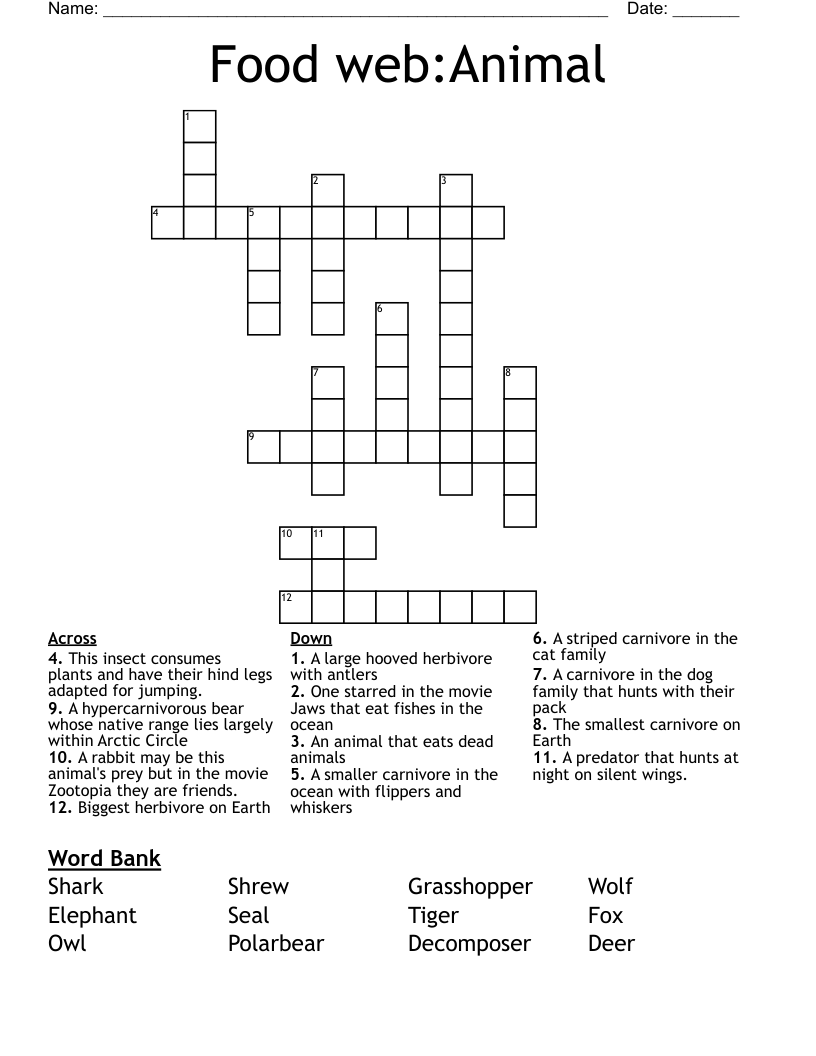Food web:Animal Crossword