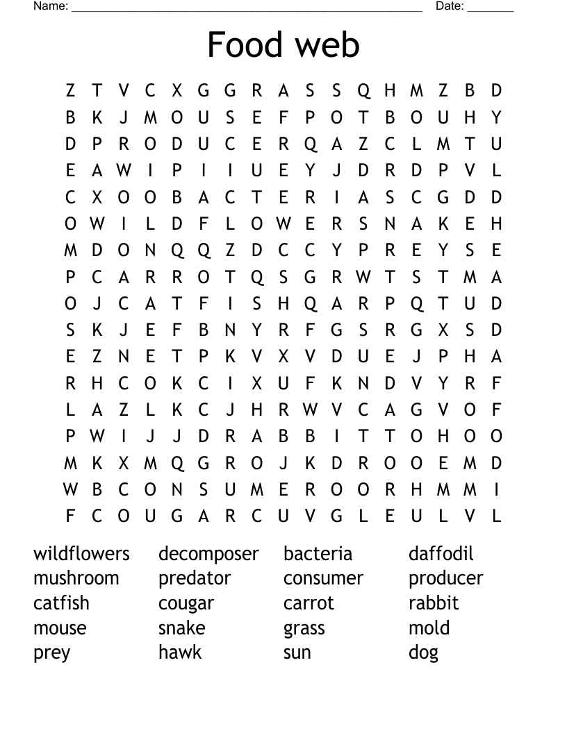 Food web Word Search