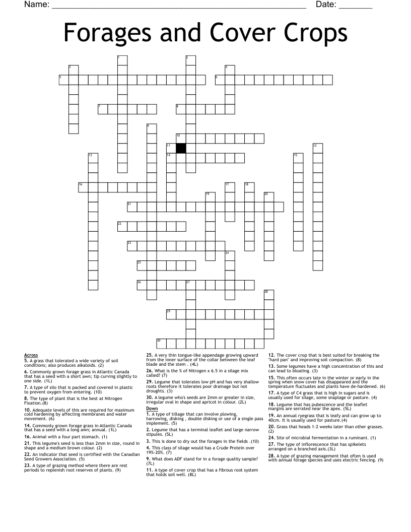 Forages and Cover Crops Crossword
