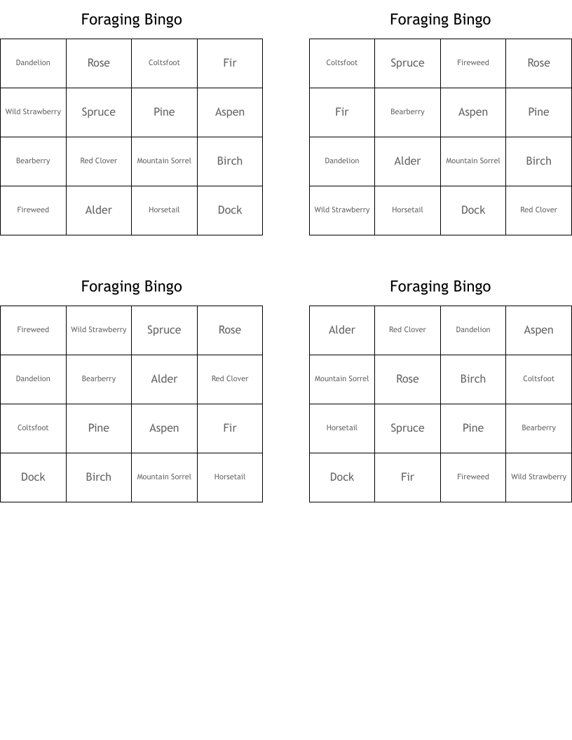 Foraging Bingo 