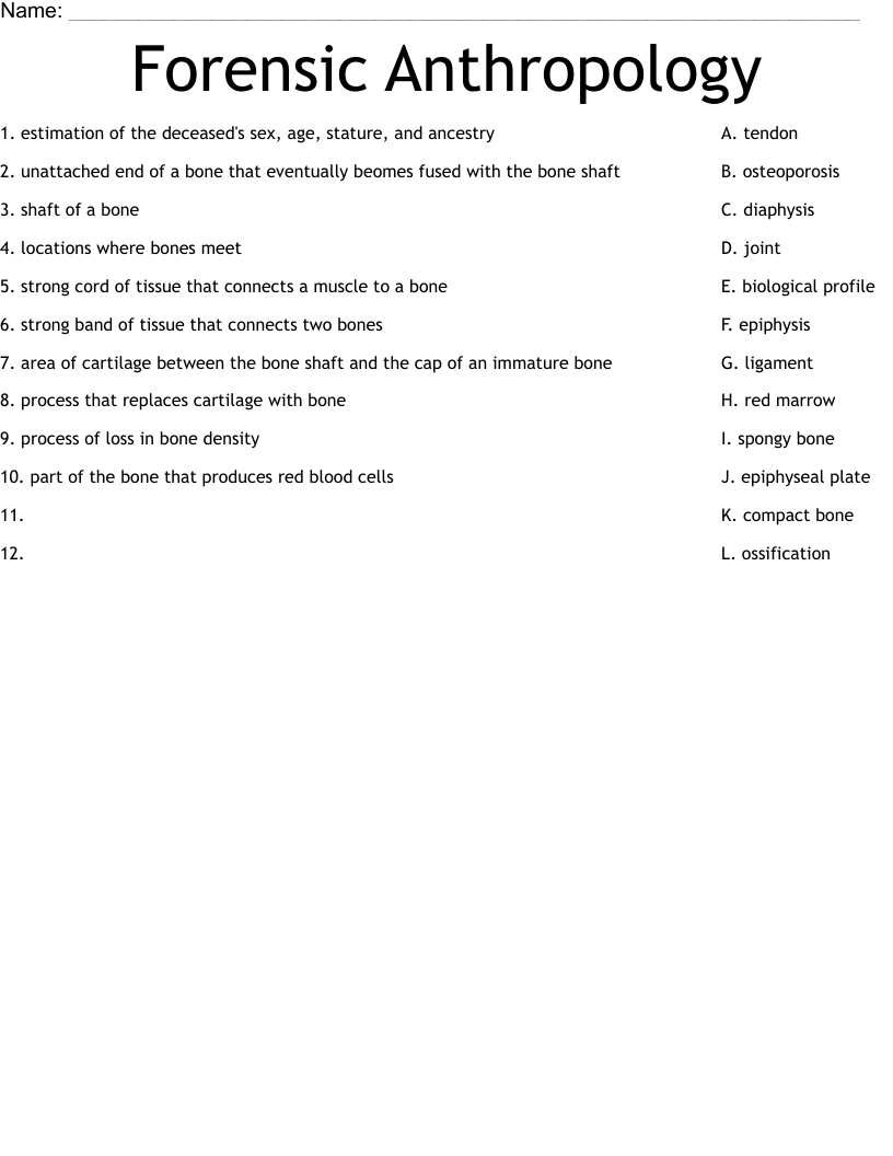 Forensic Anthropology Worksheet