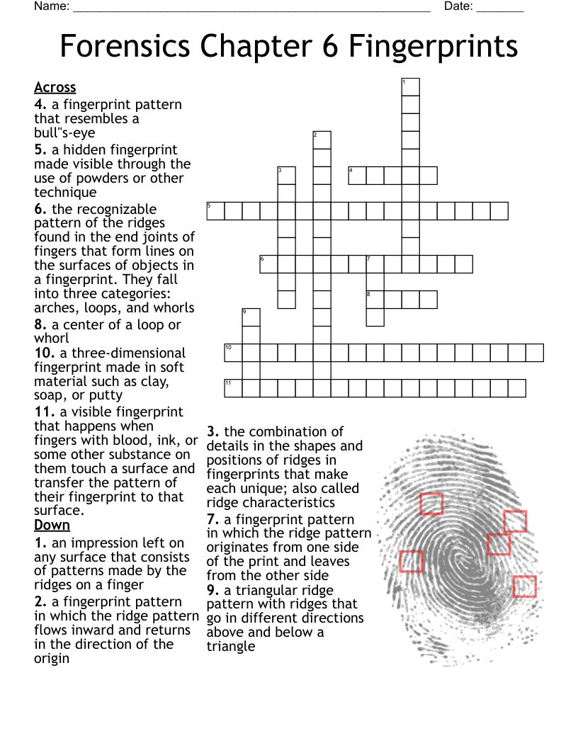 Forensics Chapter 6 Fingerprints Crossword