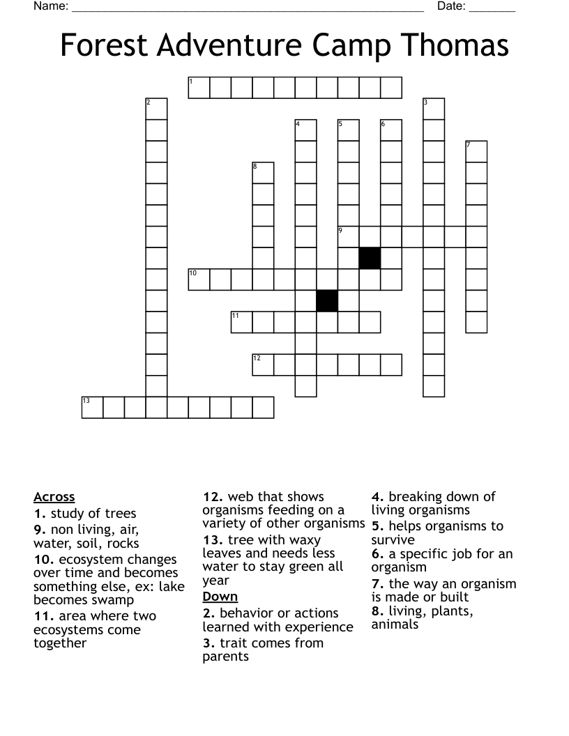 Forest Adventure Camp Thomas Crossword