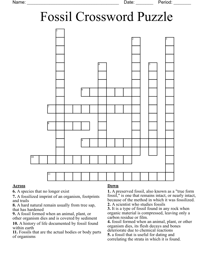 Fossil Crossword Puzzle