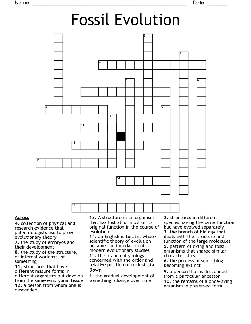 Fossil Evolution Crossword