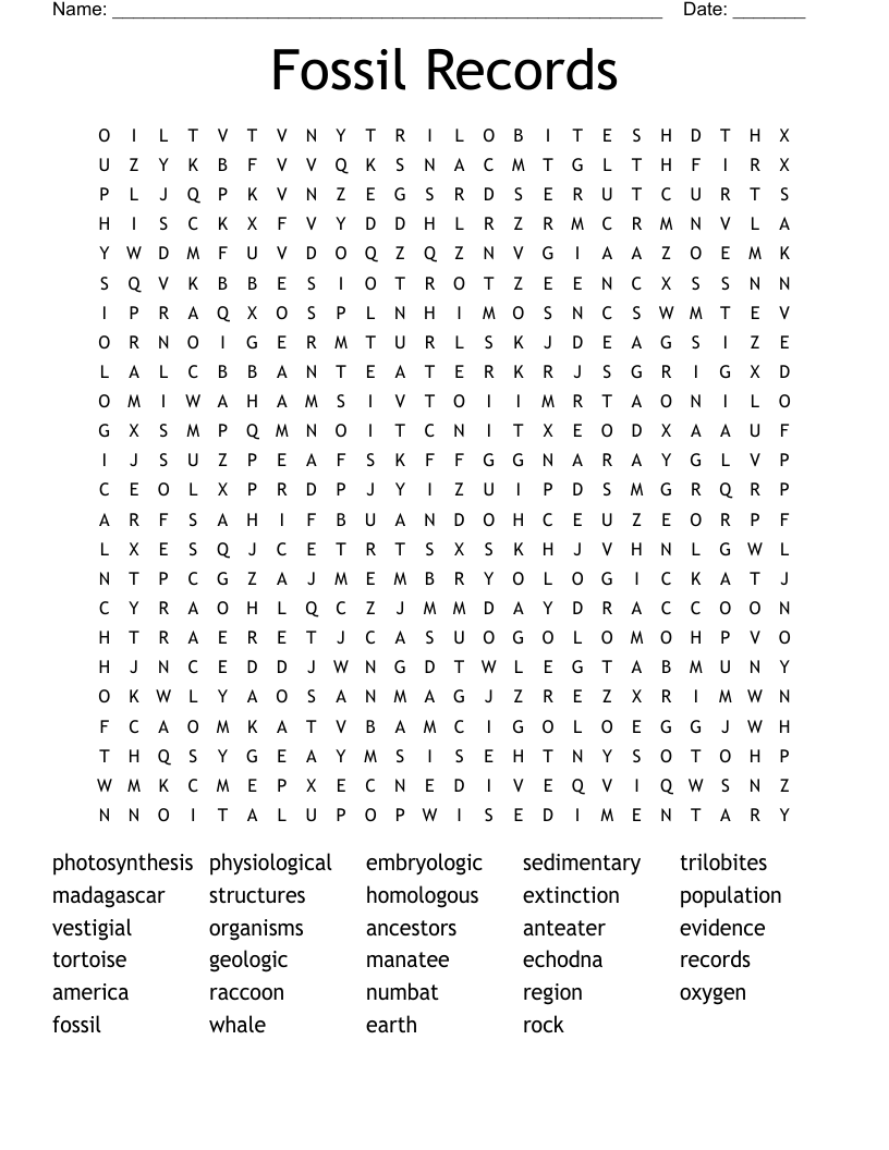 Fossil Records Word Search