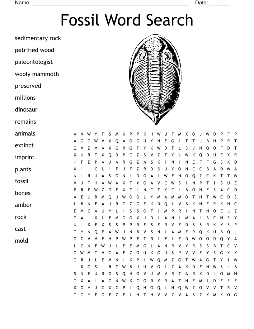 Fossil Word Search