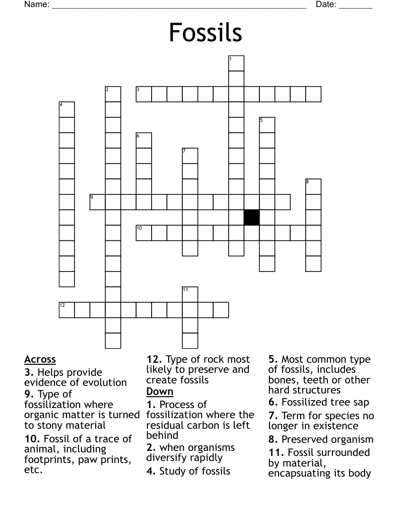 Fossils Crossword