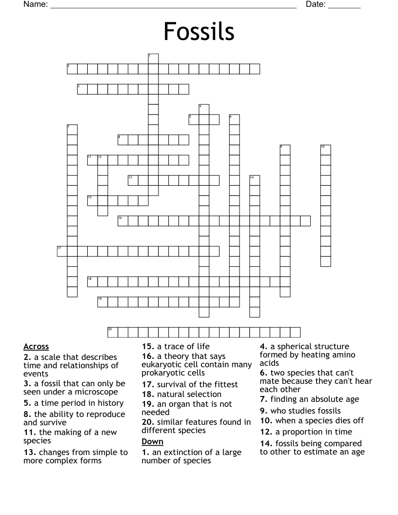 Fossils Crossword