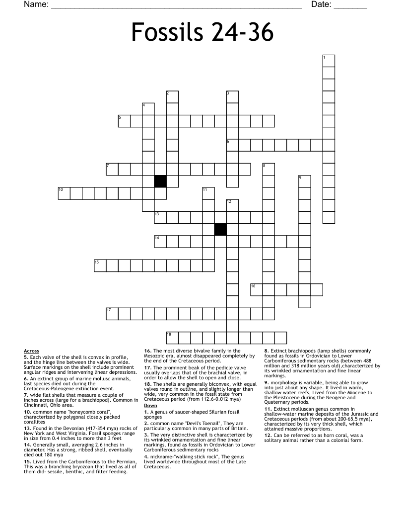 Fossils 24-36 Crossword