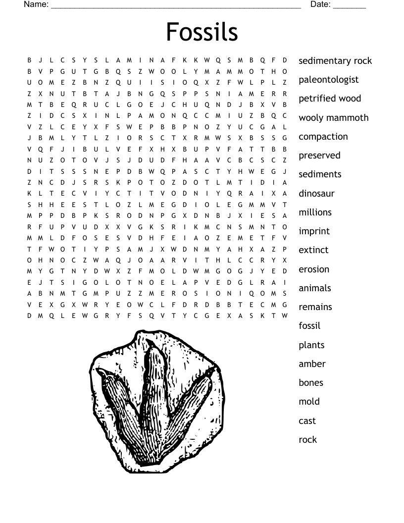 Fossils Word Search