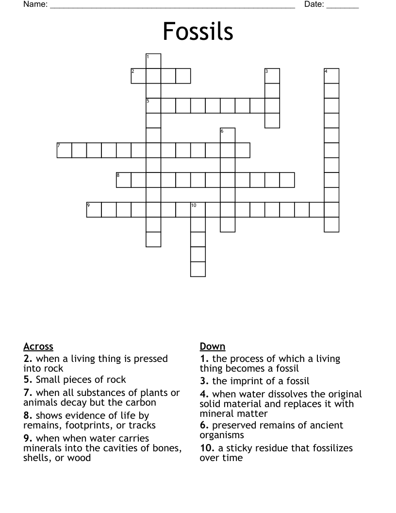 Fossils Crossword