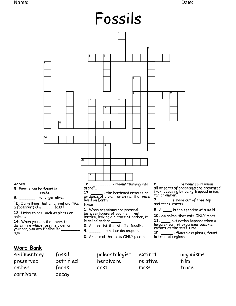Fossils Crossword