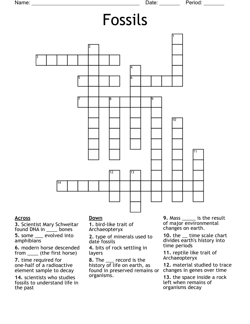 Fossils Crossword